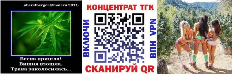MEGA tor Камышин Дистиллят ТГК Wax