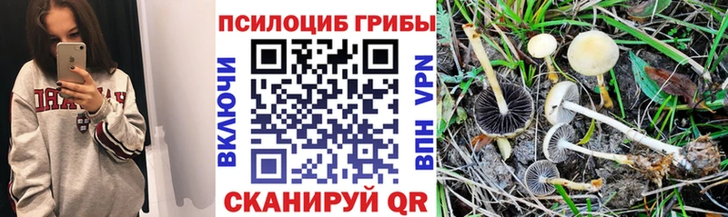 Галлюциногенные грибы Magic Shrooms  наркошоп  kraken онион  Камышин 